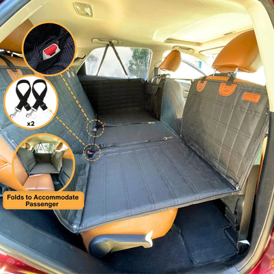 Back seat deck with one side folded back for a passenger, showing the two dog seatbelt tethers included