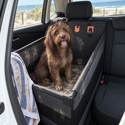 Wet, sandy spoodle in the black pod after the beach, the car seat beside it still clean