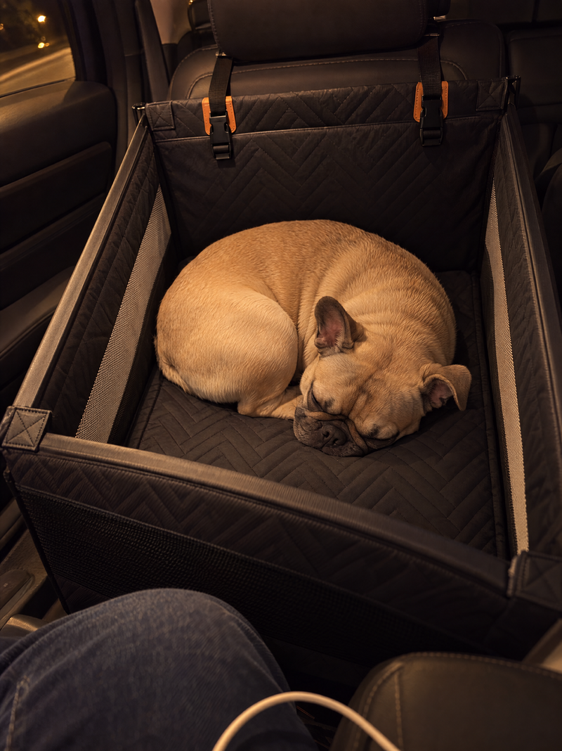French bulldog curled up asleep in the dog car seat pod