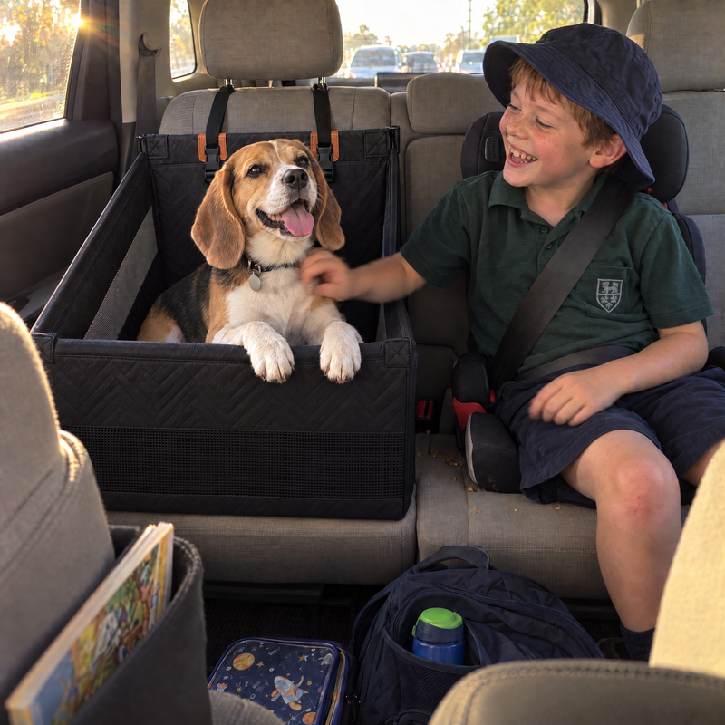 Beagle in the pod next to a boy in a booster seat on the school run